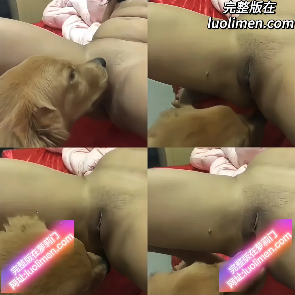 人兽交配